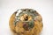 Close-up of a rotten pumpkin covered with green and white mold on a white background