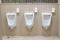 Close up row of clean white ceramic urinals in men`s toilet