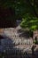 Close-up row of stone Jizo Bodhisattva statues in Kamakura, Japan.