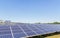 Close up rows array of polycrystalline silicon solar cells or photovoltaic cells in solar power plant station