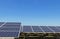 Close up rows array of polycrystalline silicon solar cells or photovoltaics in solar power plant turn up skyward absorb the sunlig