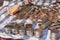 Close-up of rows of stacked coins next to many coins scattered on a table and a banknote