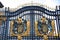 Close up the royal emblem on Buckingham palace entrance door
