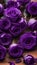 Close-up of royal purple roses on a wooden table illustration Artificial Intelligence artwork generated