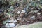 Close up rubbish dump in a mangrove forest