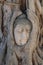 Close-up ruined Buddha head statue trapped between Tree roots at historical park, travel destination at Ayuthaya provice, Thailand