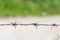 Close up of rust barbed wire with blurred background