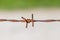 Close up of rust barbed wire with blurred background