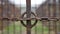 A close up of a rusty chain and bar on an old fence, AI