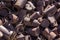 Close up of rusty pile of old food and oil cans from a mining claim in the desert