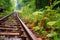 close-up of rusty rail track with overgrown vegetation