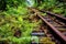 close-up of rusty rail track with overgrown vegetation