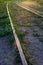 Close-up of rusty railway tracks. Green grass grows nearby. Sun rays are shining from above. Railway tracks for trains