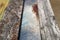 Close-up of rusty wooden planks