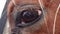 Close up of sad horse\'s eye,horse on the farm