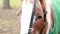 Close up of sad horse\'s eye,horse on the farm