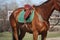 Close up of saddle on horse back