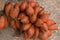 Close up of salak fruit Salacca zalacca Malaysia, Thai and Indonesian local fruits