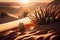 close-up of sand dune and cactus with the sun shining behind