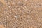 Close up sand rough texture.