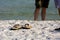 Close Up of Sandals on White Sand on Blur Man Legs Background.