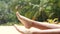 Close up of sandy feet on summer day, tropical trees in soft-focus background.