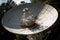 close-up of satellite dish, transmitting data back to earth