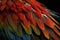 A close-up of a Scarlet Macaw\\\'s feathers, showing the intricate patterns and colors of the plumage