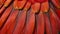 Close-up of a Scarlet Macaws feathers