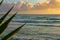 CLOSE UP: Scenic shot of a group of surfers riding waves on a sunny evening.