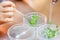 Close-up of scientist cutting plant tissue culture in petri dish