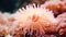 A close up of a sea anemone in the water, on peach fuzz background.