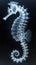 A close up of a sea horse on a black background, monochromatic x-ray image on dark background