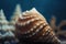 a close up of a sea shell on a table with other shells