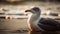 Close up of seagull beak, feather, and eye generated by AI