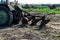 Close-up of seasonal agricultural work, tractor tills the land before planting plants