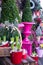 Close up of seasonal potted plants and flowers on sale at florist shop in December. Photographed pre-Christmas in Surrey, UK.