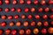 Close-up of seasonal tomatoes organized in lines on a black background. Ketchup ingredients.