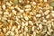 Close-Up of Seed Mix, Rich in Omega Oil