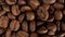 Close up of seeds of coffee. Beautiful seeds of coffee. Dark Coffee Grains.