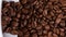 Close up of seeds of coffee. Beautiful seeds of coffee. Dark Coffee Grains.