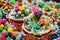 Close up selective focus of beautiful flower of variety of cactus and succulents in clay flower pots in plant store