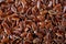 Close-up selective focus healthy flax seed on white textured background, macro, vertical.