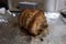 Close up, selective focus on a juicy, pork chashu roast resting on tin foil after being cooked