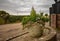 Close up and selective focus on plant pot with plants in it