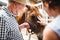 A close-up of senior couple petting a horse.