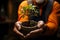 Close up of senior man\\\'s hands holding small tree in pot.