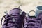 Close-up of several beautiful butterflies sitting on purple sneakers on the background of the beach