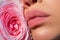 Close up sexy woman natural lips and beautiful red rose. Lips with lipstick closeup. Beautiful woman lips with rose.