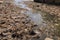 close-up of shallow riverbed overflowing with runoff, fish swimming among the debris